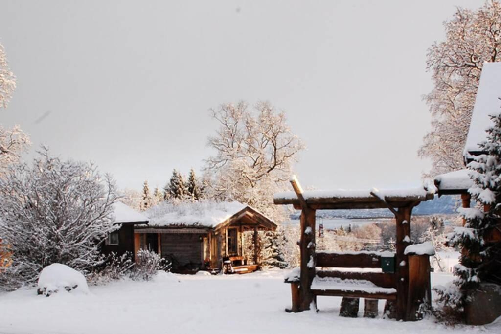 100 Years Old Norwegian Log House In Tromso Villa Eksteriør billede