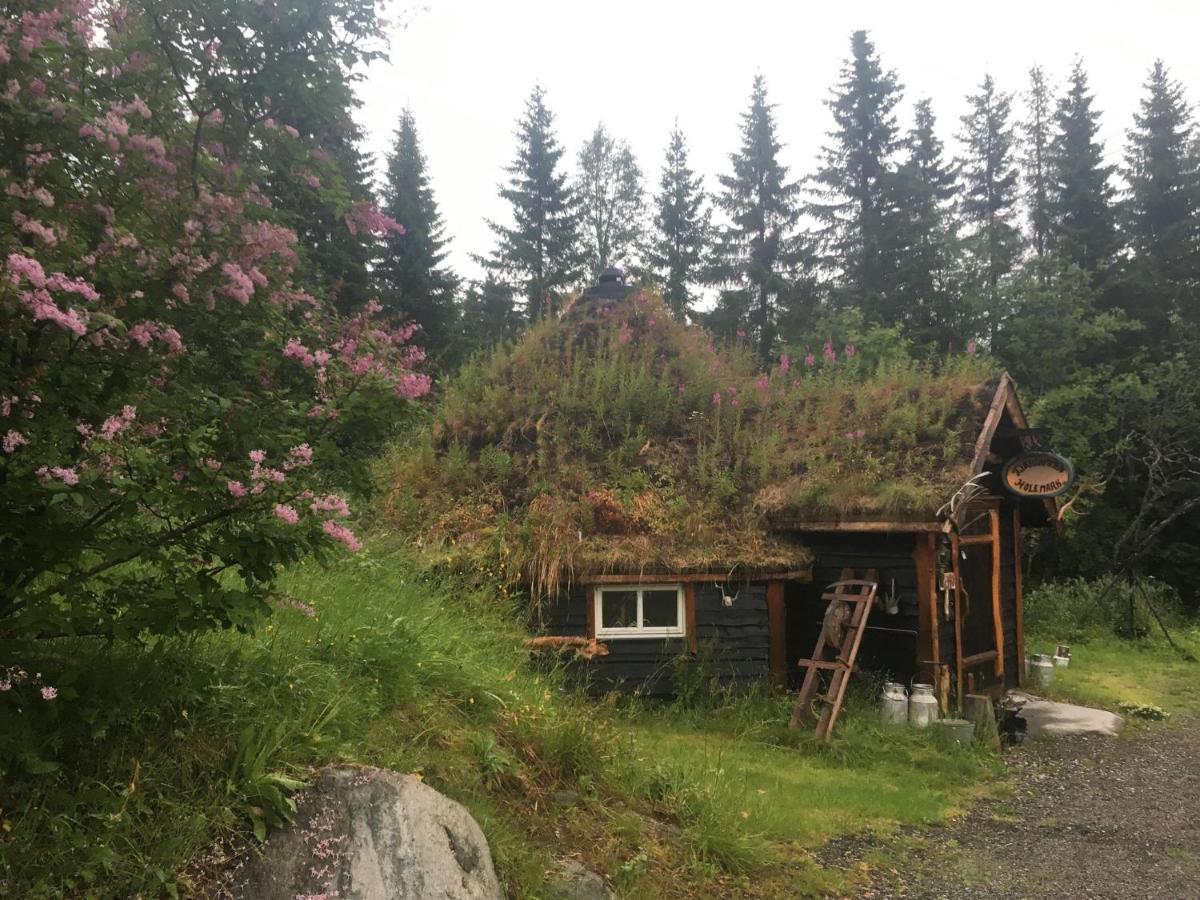 100 Years Old Norwegian Log House In Tromso Villa Eksteriør billede