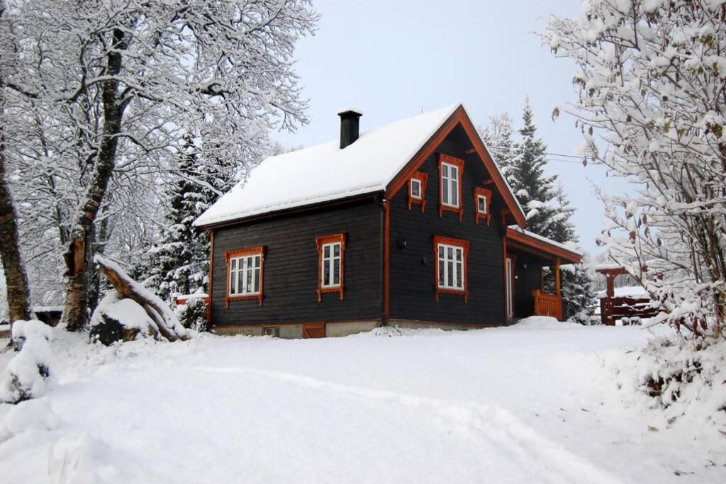 100 Years Old Norwegian Log House In Tromso Villa Eksteriør billede